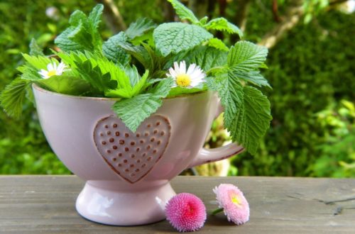 la naturopathie naturajoa.com