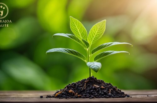 Exploration des Plantes Médicinales : Un Livre Incontournable pour la Santé Naturelle naturajoa.com