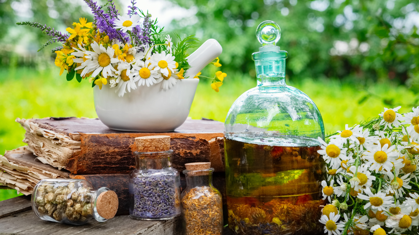 Ashwagandha Un Trésor Naturel naturajoa.com