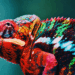 L'Importance de l’Adaptation naturajoa.com