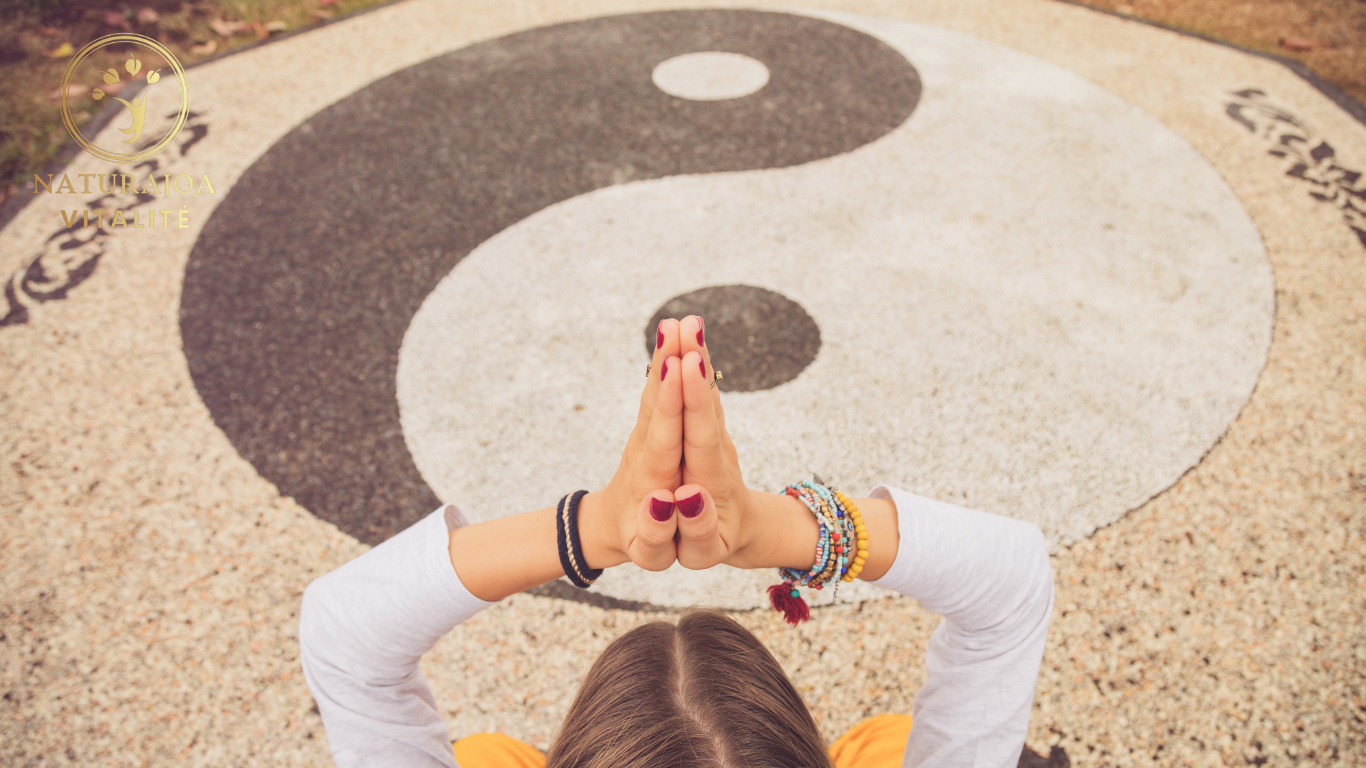 L'Importance de l'Équilibre Yin et Yang naturajoa.com