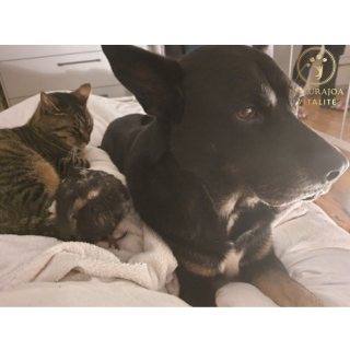 Joanna Anna Romanowska naturajoa.com