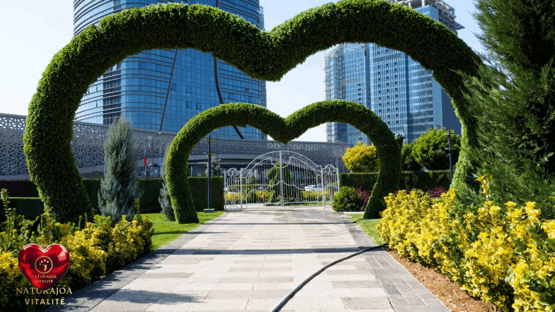 L’Importance Vitale d’une Ville Sans Pollution pour Ses Habitants naturajoa.com