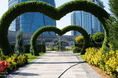L’Importance Vitale d’une Ville Sans Pollution pour Ses Habitants naturajoa.com