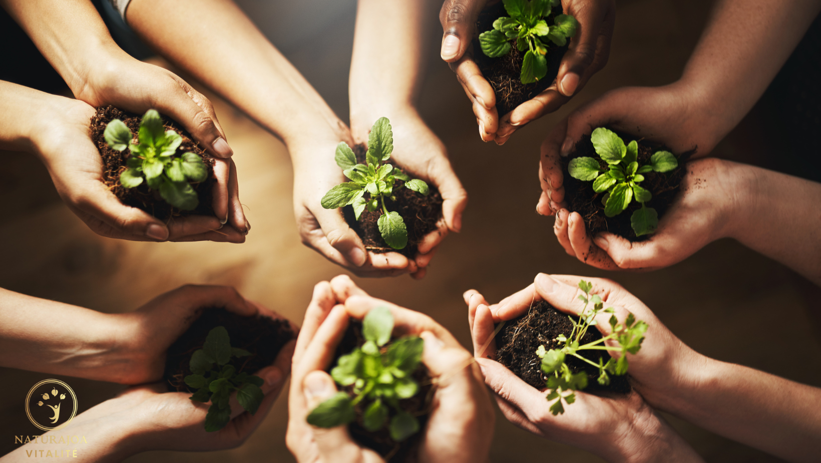L'Importance de l’Adaptation naturajoa.com