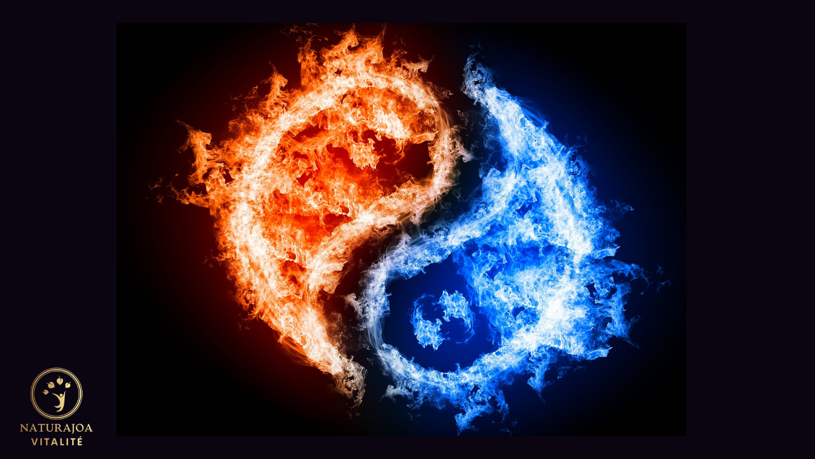 Pourquoi Seule une Vision Globale donne du Sens naturajoa.com