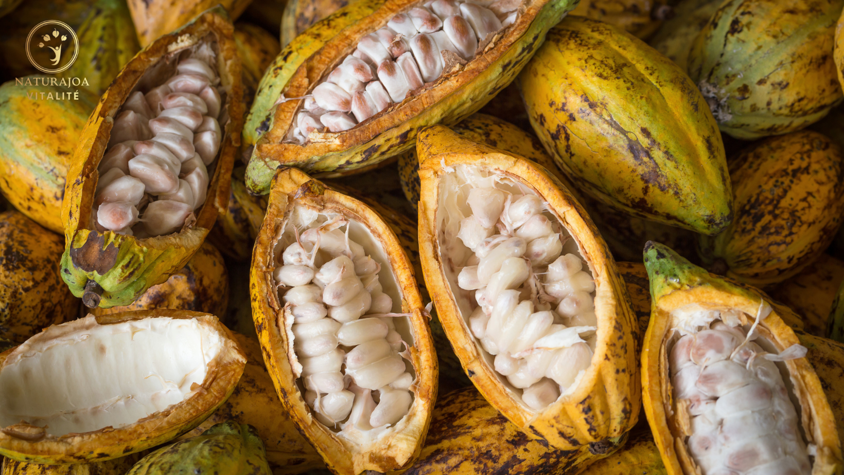 Les Bienfaits Énergisants du Cacao Cru pour Notre Vitalité Globale naturajoa.com