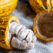 Les Bienfaits Énergisants du Cacao Cru pour Notre Vitalité Globale naturajoa.com
