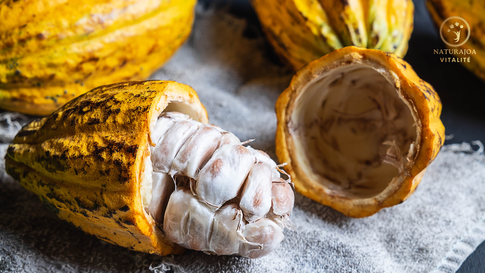 Cacao Cru : la Clé d’une Énergie Durable et du Bonheur Intérieur The Key to Sustainable Energy, Happiness, and Inner Strength naturajoa.com