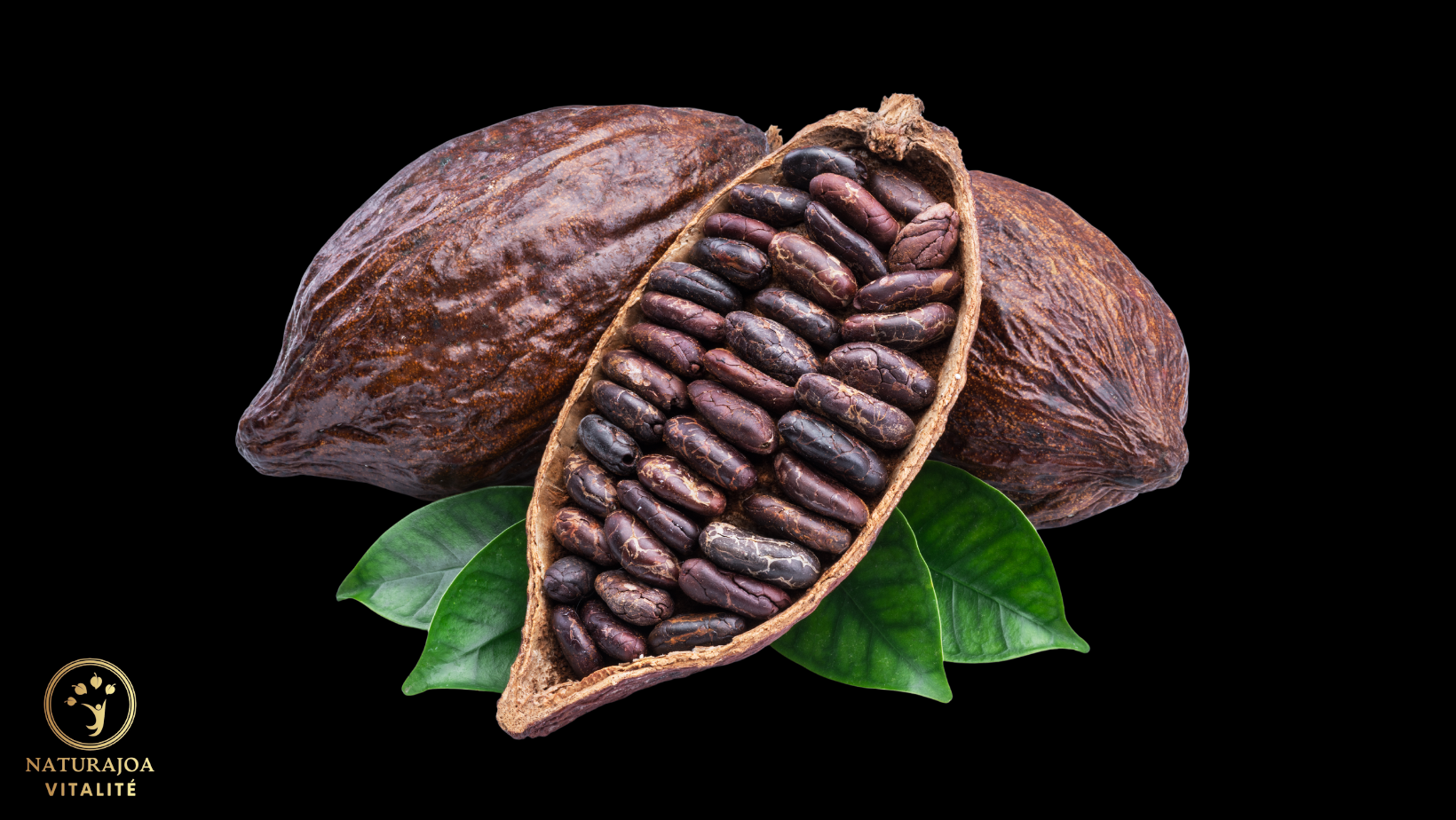 Les Bienfaits Énergisants du Cacao Cru pour Notre Vitalité Globale naturajoa.com
