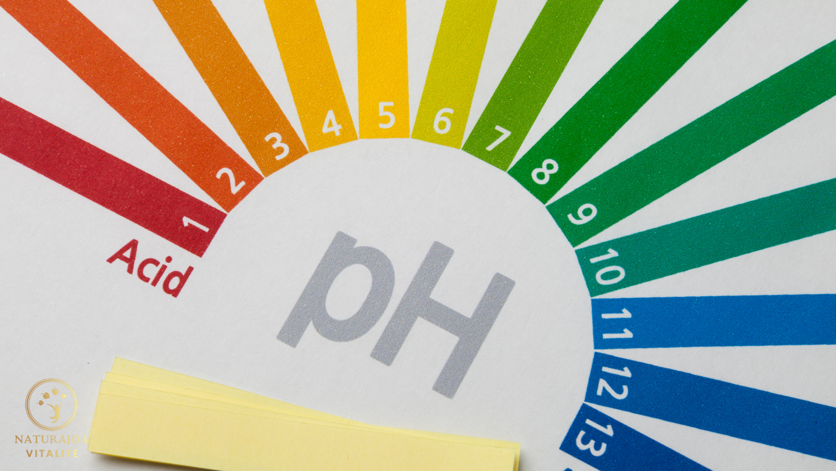 🌀 La Loi de l’Homéostasie : L’Équilibre Intérieur au Service de Notre Santé Globale
