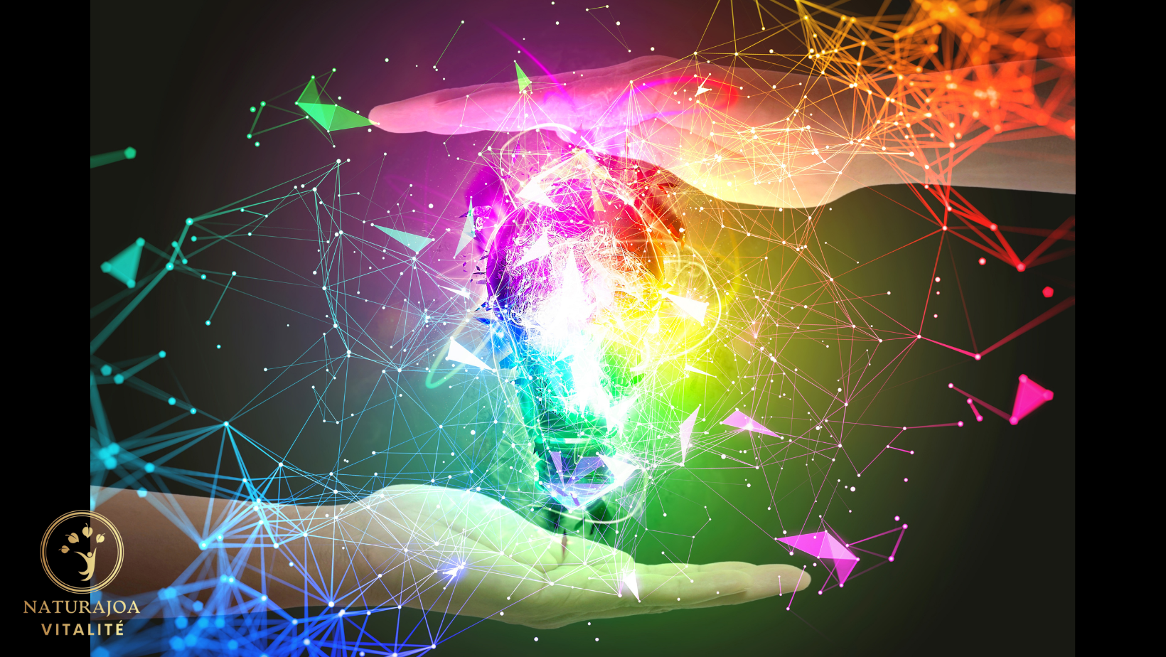 L’Échelle de Conscience de Hawkins naturajoa.com