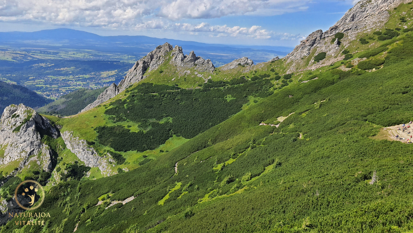 La Loi de l’Homéostasie : L’Équilibre Intérieur au Service de Notre Santé Globale naturajoa.com