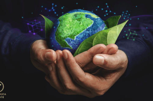 Amélioration du Rendement naturajoa.com