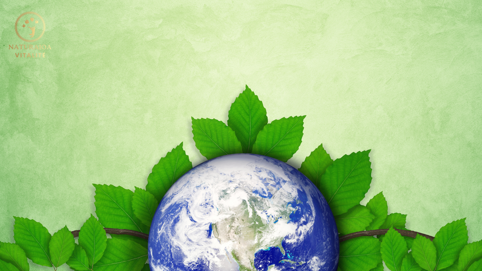 Le Ciment pour Réduire les Émissions de CO₂ naturajoa.com