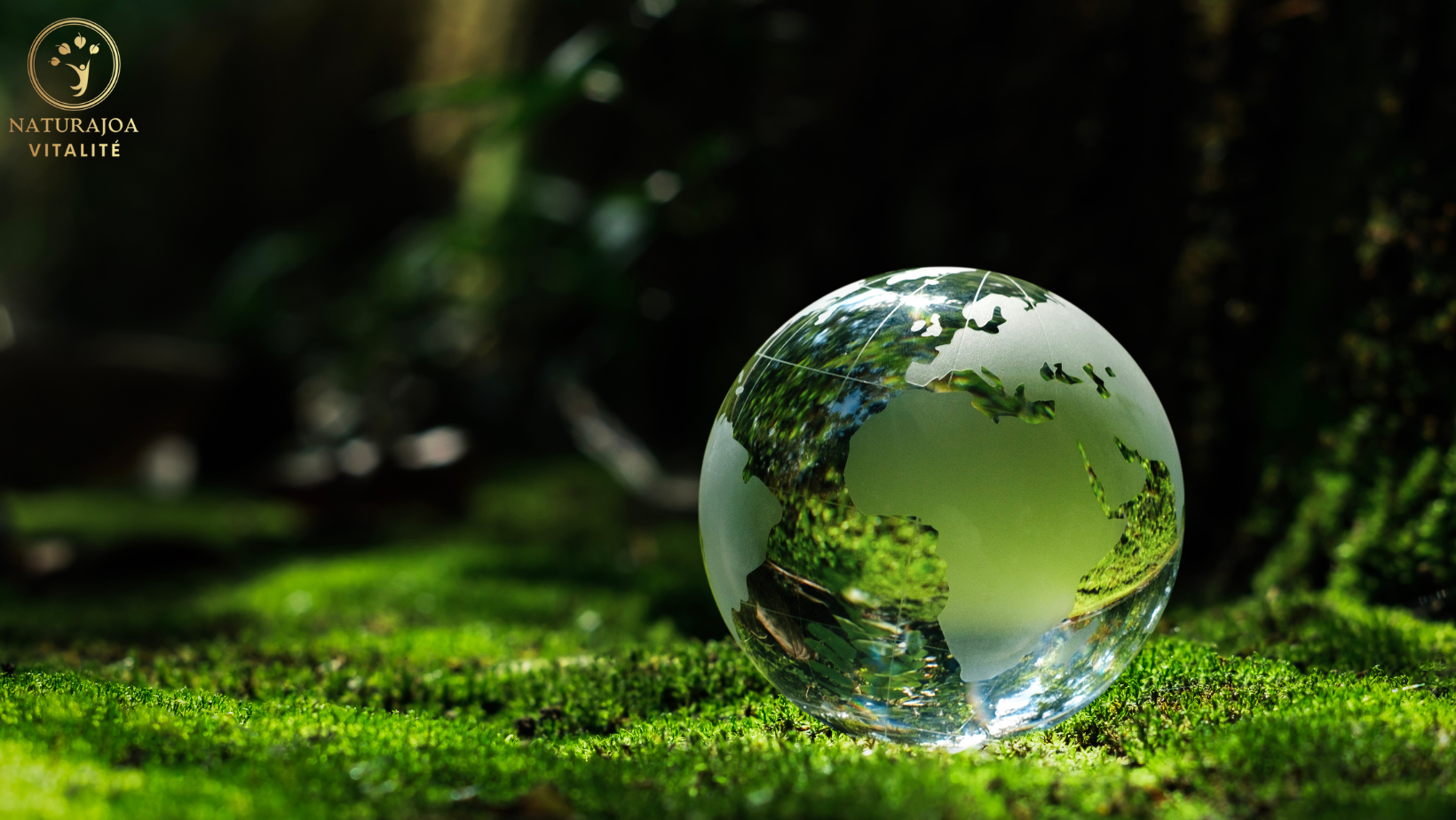 L’Énergie Solaire : Une Force Vitale naturajoa.com