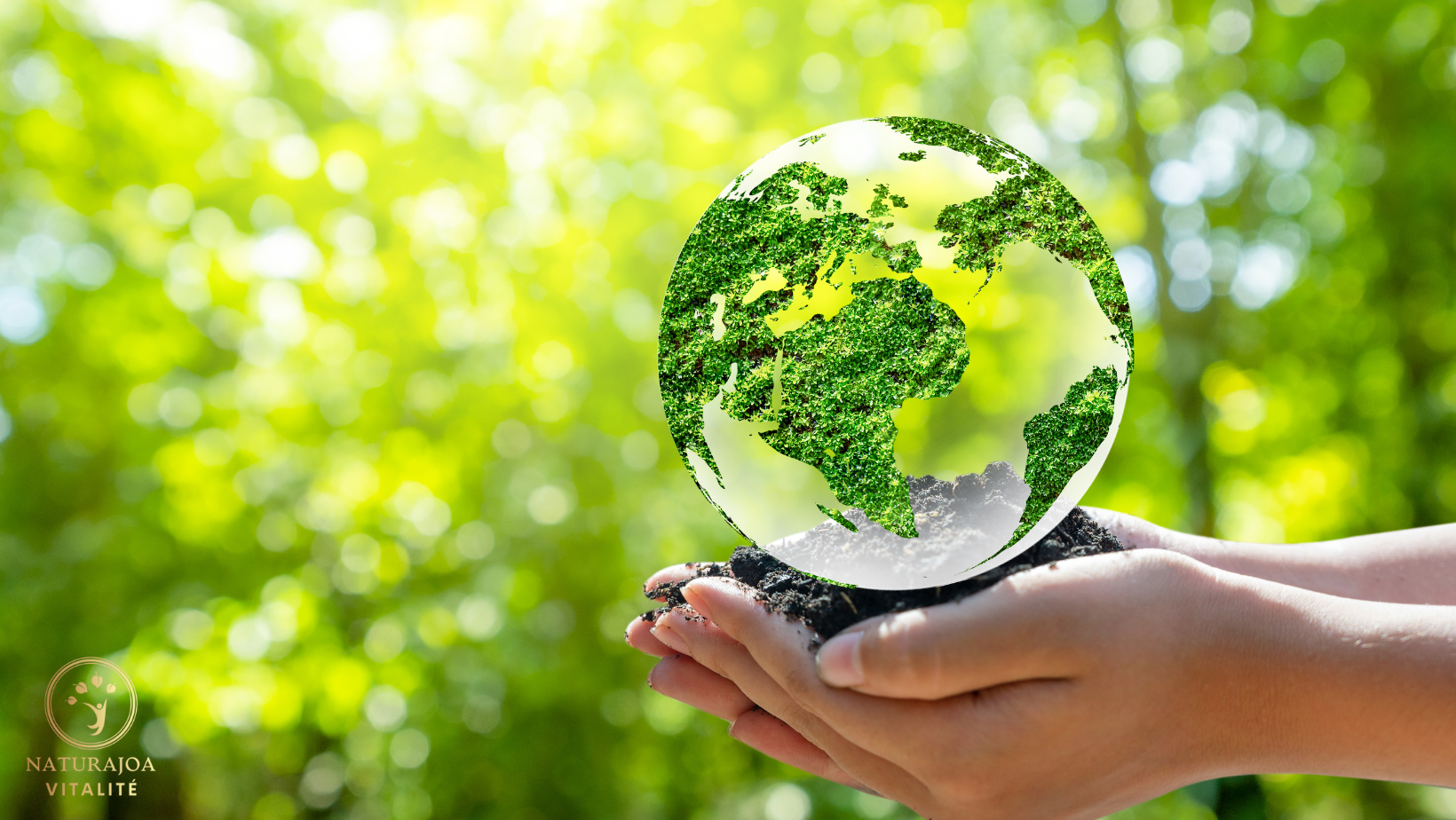 Le Ginkgo biloba Une Plante Millénaire naturajoa.com