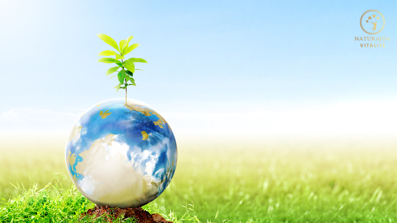 Planète en Fièvre. Le Réchauffement Climatique comme Symptôme naturajoa.com