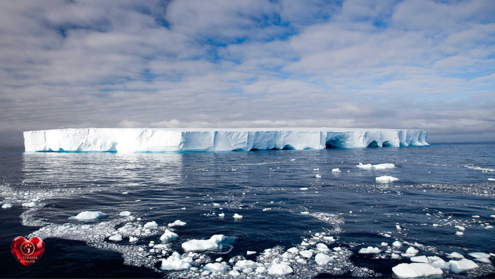 Planète en Fièvre. Le Réchauffement Climatique comme Symptôme naturajoa.com
