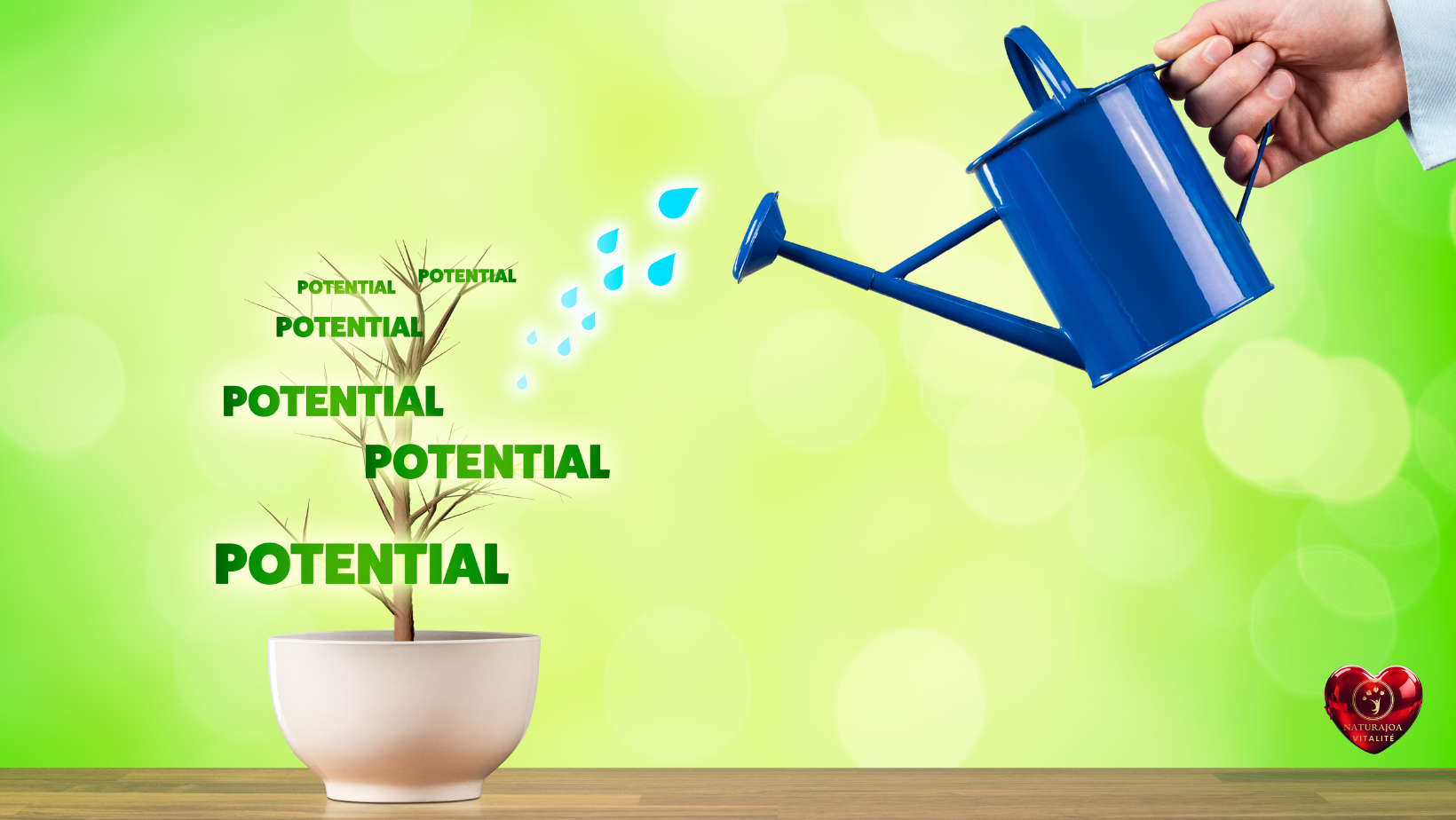  Nature Humaine et Économie naturajoa vitalité naturajoa.com