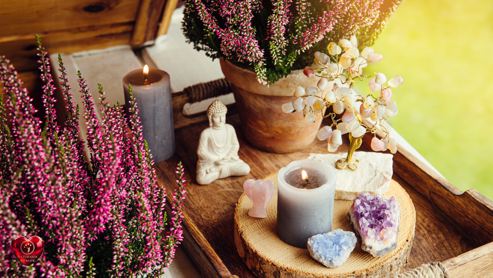 De la Contrainte à l’Opportunité : OMAD comme Solution au Gaspillage naturajoa vitalité naturajoa.com