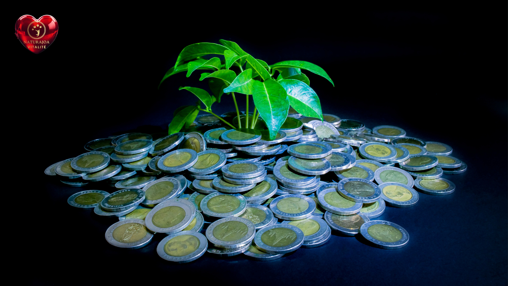 Une Transition Globale Qui Soigne Vraiment naturajoa vitalité naturajoa.com