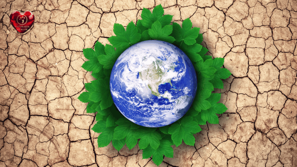 Un Terrain Commun, Une Vision Partagée naturajoa.com