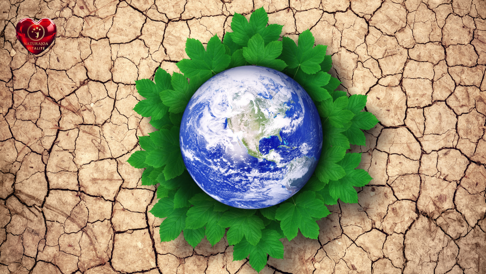 Santé de la Terre, Santé de l’Humain Une Seule Équation pour un Futur Légendaire naturajoa.com