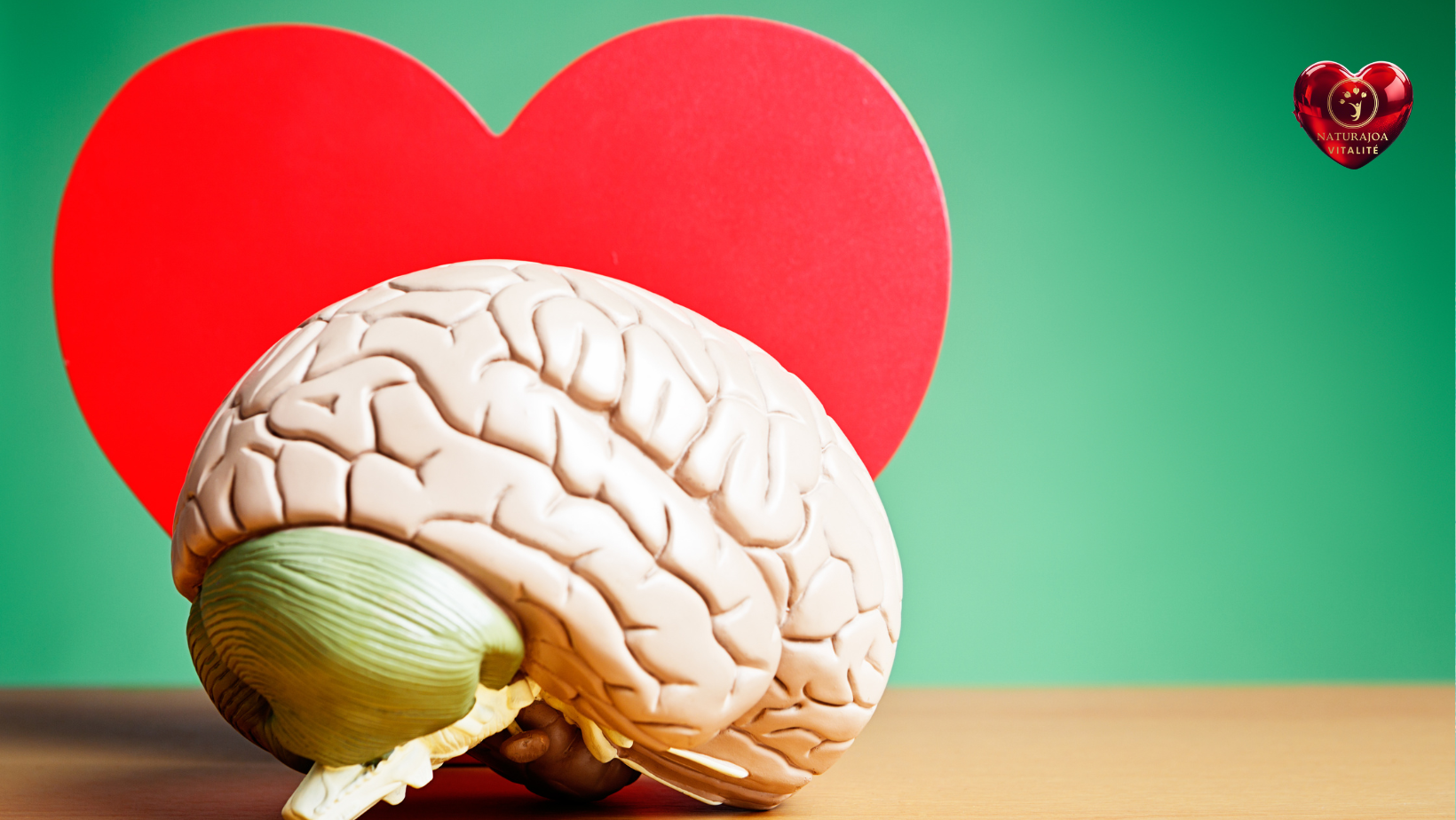 Clean Transport Zones Joanna Anna Romanowska naturajoa.com