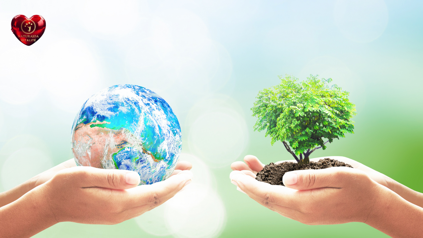 Invitation à Une Révolution Pacifique : Pour un Progrès Éclairé par la Paix naturajoa vitalité naturajoa.com