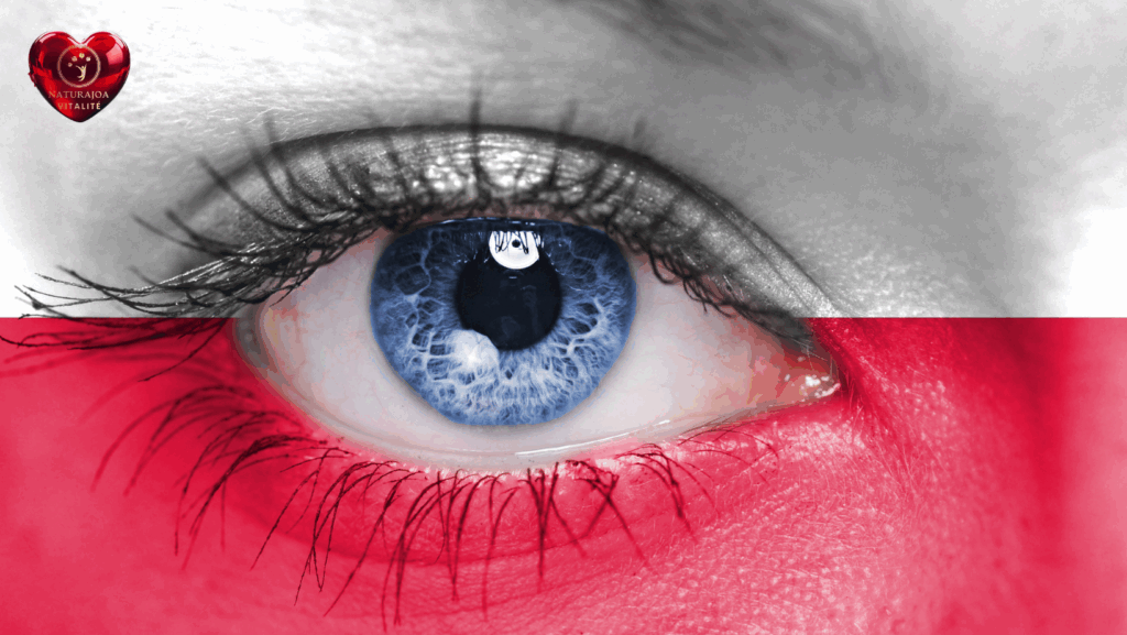 L'Irrespect des Ressources : La Course à la Possession Face à l’Abondance Durable naturajoa vitalité naturajoa.com