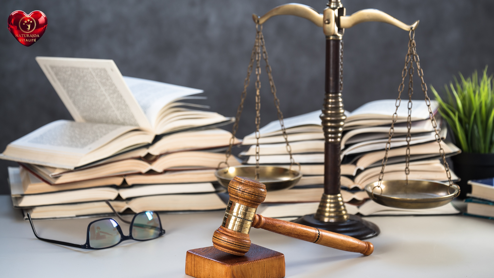 La loi naturelle du bonheur : grandir pour vivre mieux naturajoa vitalité naturajoa.com