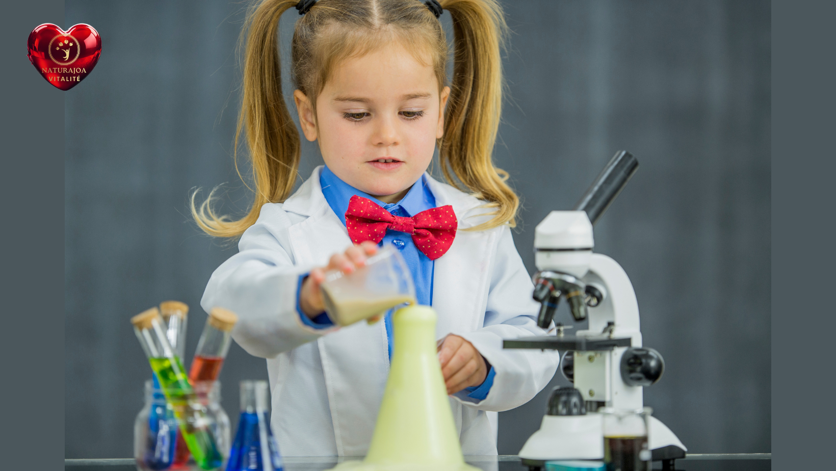 Ashwagandha Un Trésor Naturel naturajoa.com