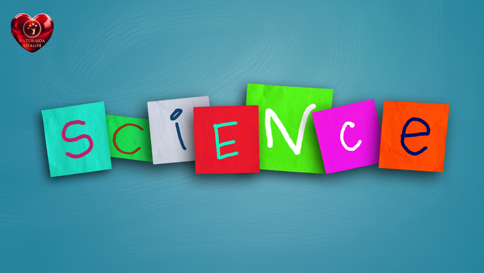 Ashwagandha Un Trésor Naturel naturajoa.com