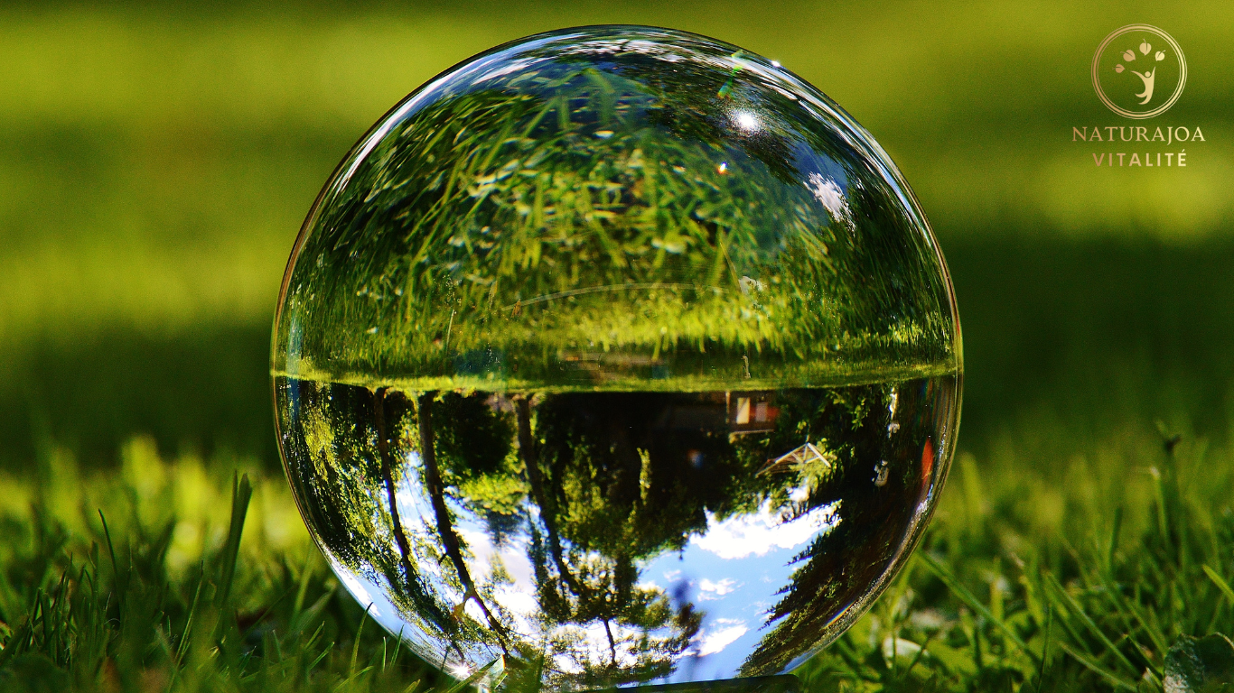 Quand on Oublie qu’On est en Bonne Santé naturajoa vitalité naturajoa.com