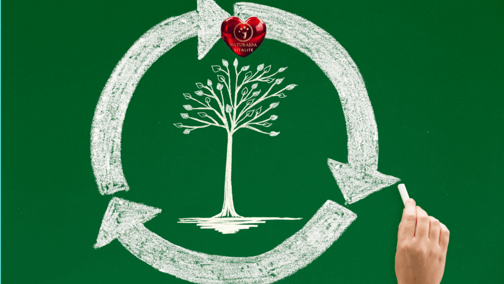 De l’autodestruction à l’autoréparation : Vers une Amélioration Profonde et à Long Terme. naturajoa vitalité naturajoa.com