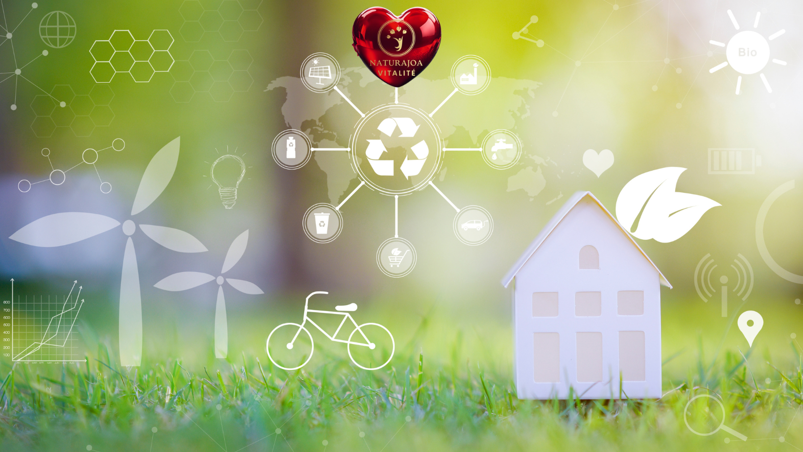 Notre Environnement Nous Vole Notre Énergie! Le Poids Caché des Toxines ! naturajoa vitalité naturajoa.com