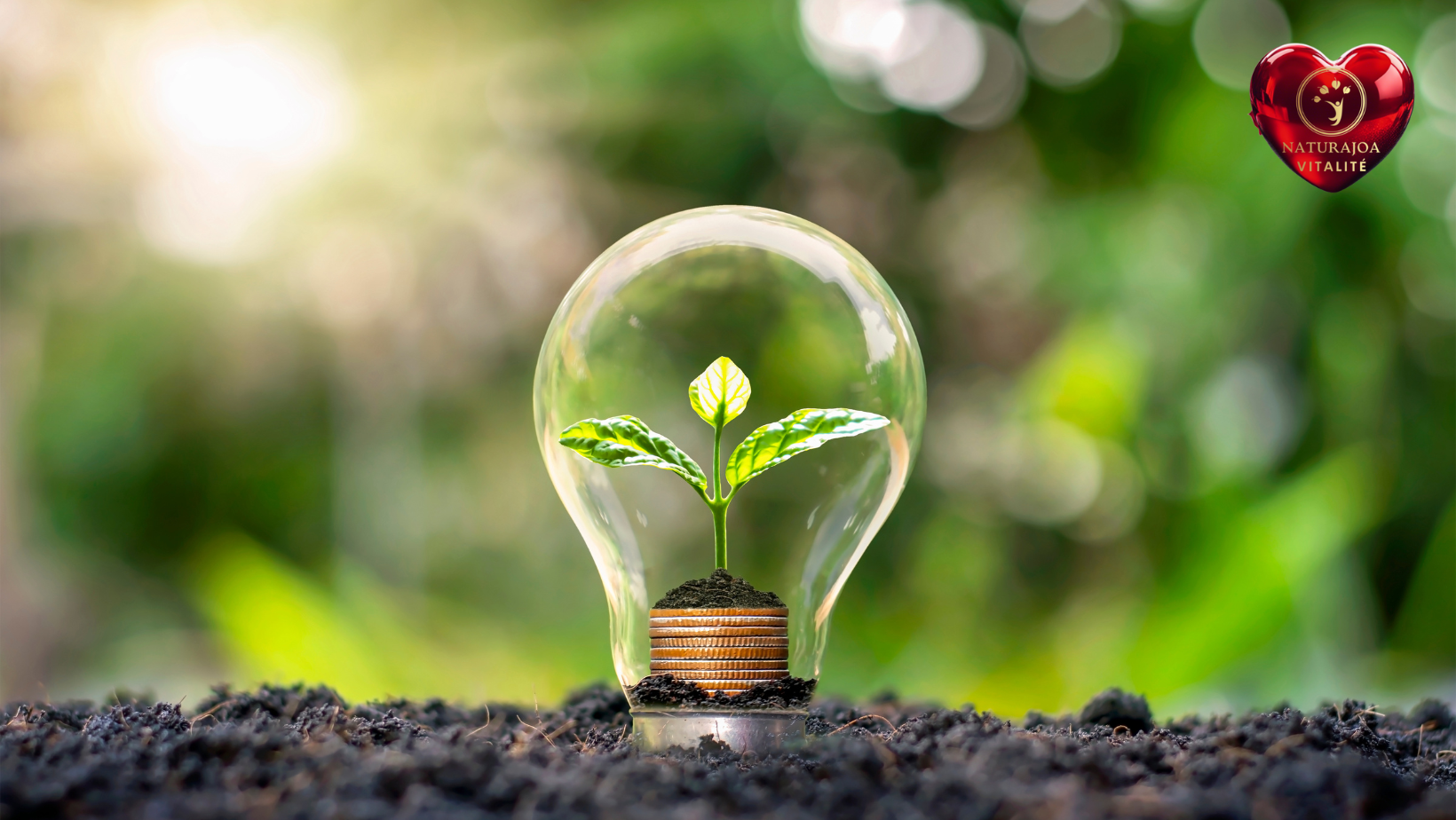 Açaï Power : Énergie, Force et Longévité. Açaí Power: Energy, Strength and Longevity naturajoa.com