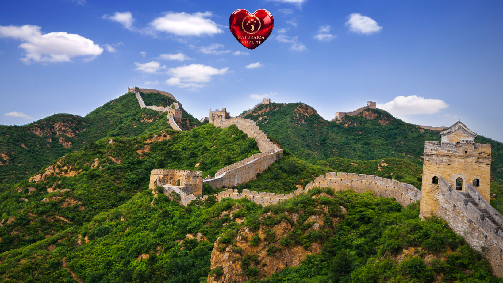 Pourquoi Seule une Vision Globale donne du Sens naturajoa.com