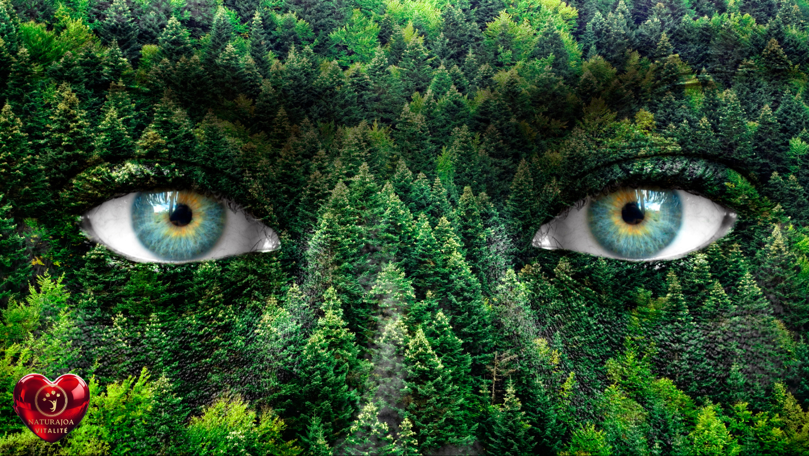 Les Causes des Addictions naturajoa.com