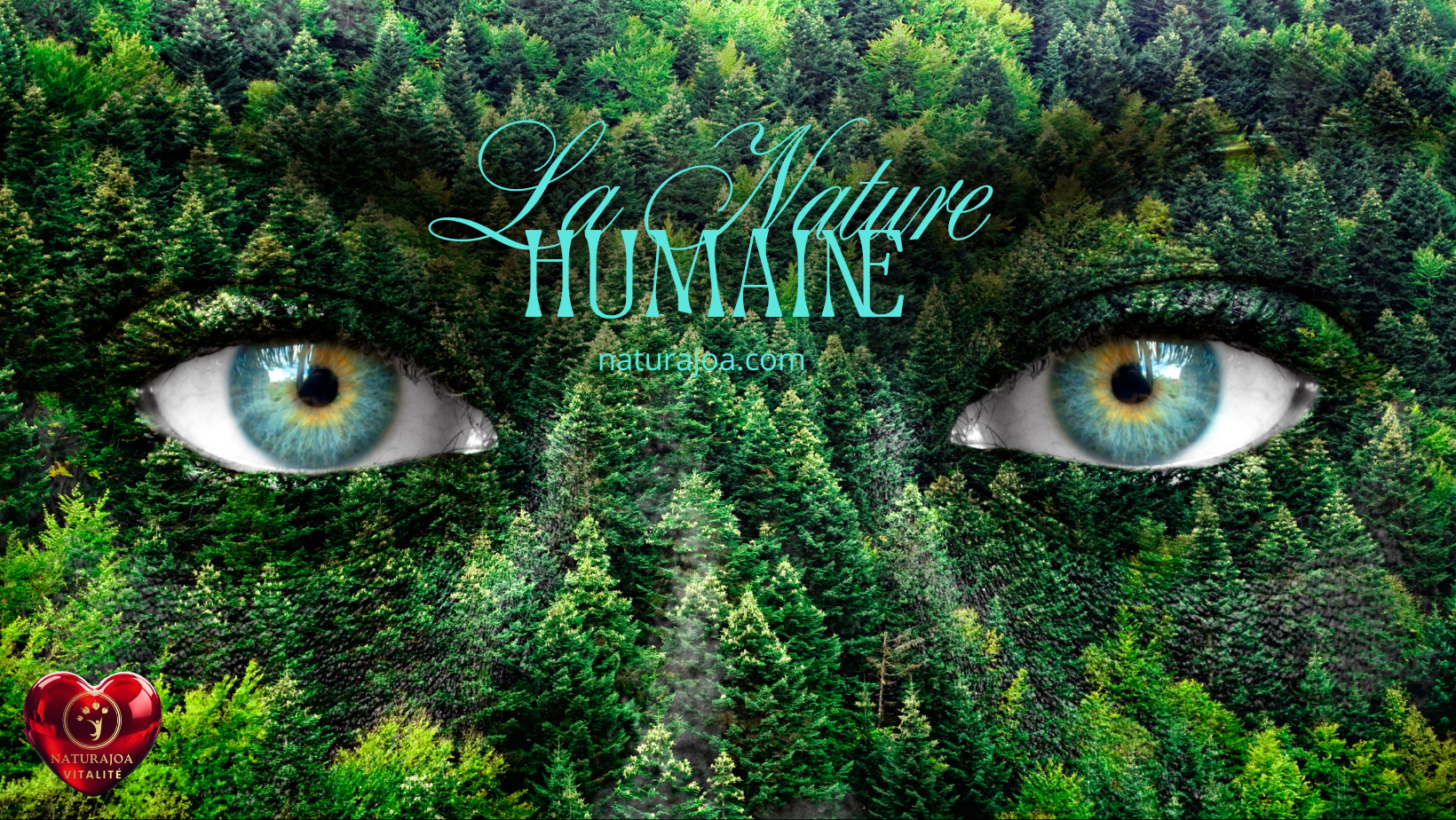 Pourquoi Seule une Vision Globale donne du Sens naturajoa.com