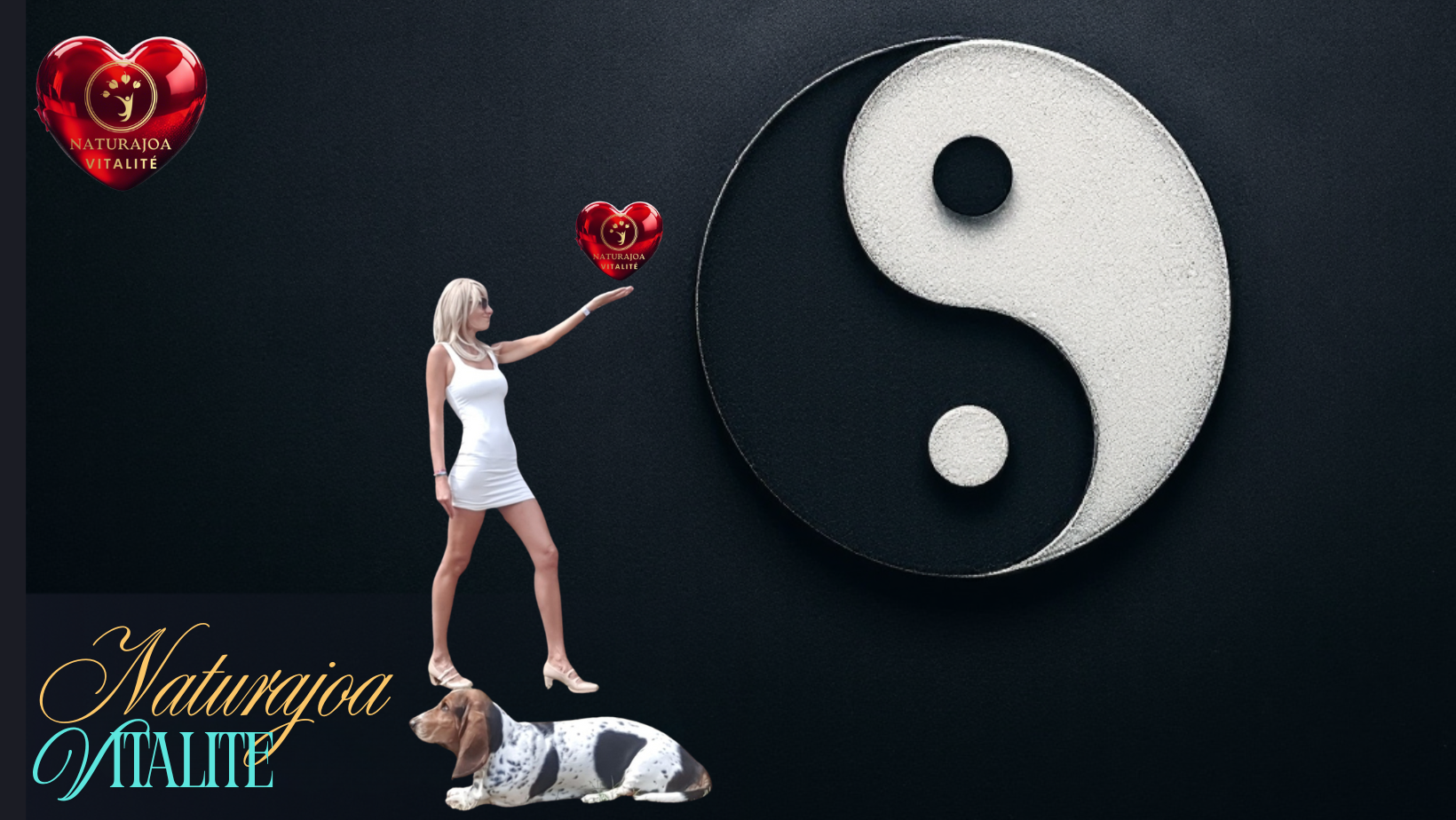 Le Pouvoir Oublié des Surrénales, Clés de Notre Énergie. Naturajoa Vitalité naturajoa.com