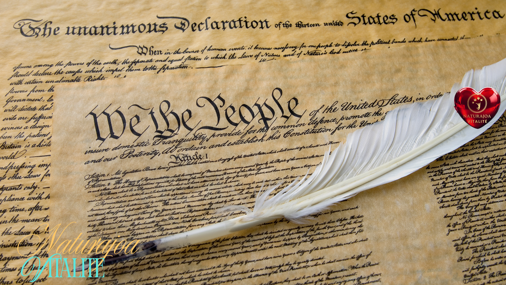 Les Principes Naturels du Chou naturajoa vitalité naturajoa.com