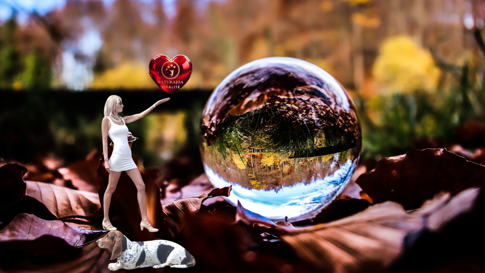 naturajoa vitalité naturajoa.com