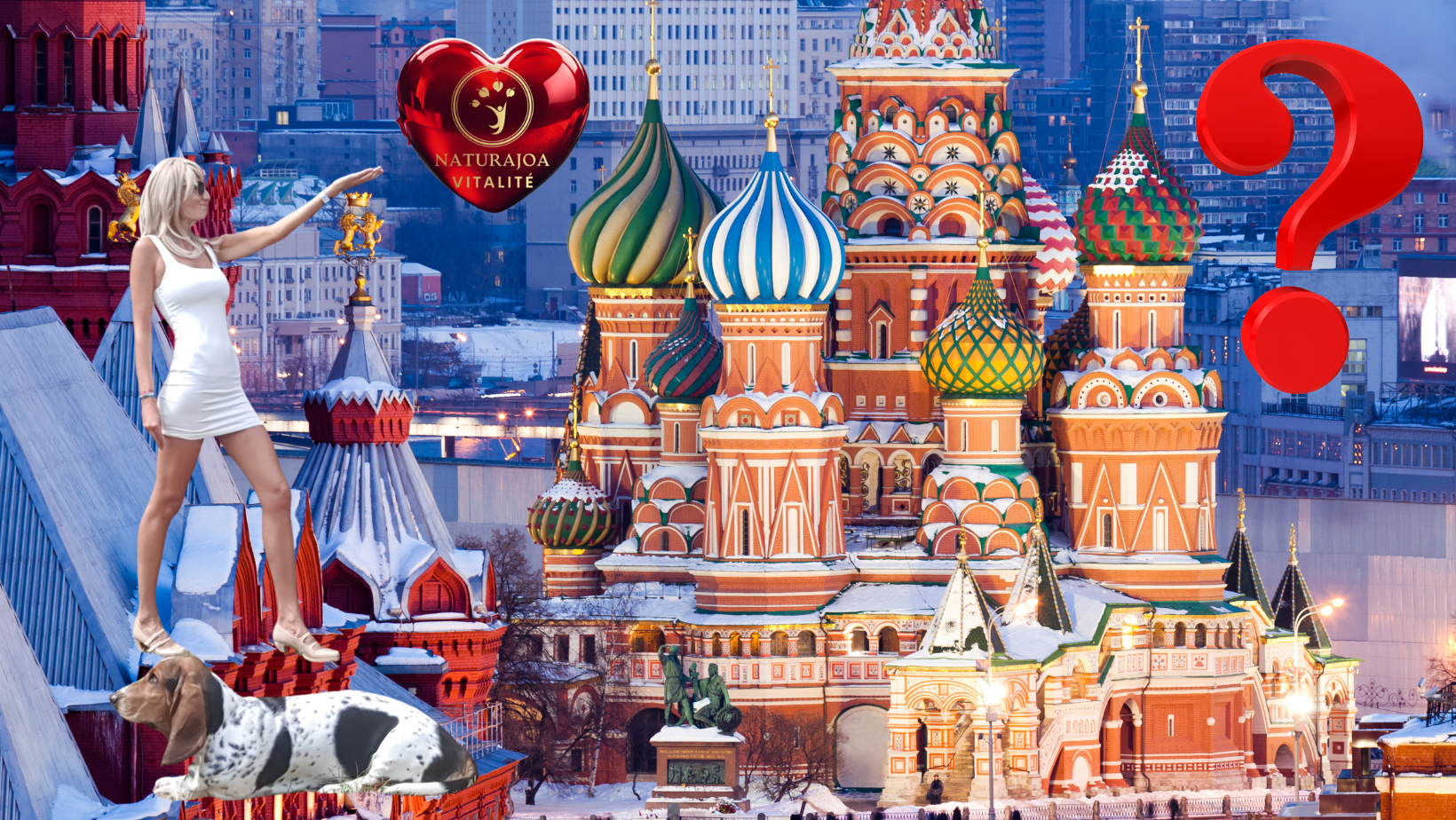 Intelligence Artificielle et Vitatité Globale : Artificial Intelligence and Global Vitality. Why Ethics Are Becoming Essential ? Joanna Anna Romanowska naturajoa.com