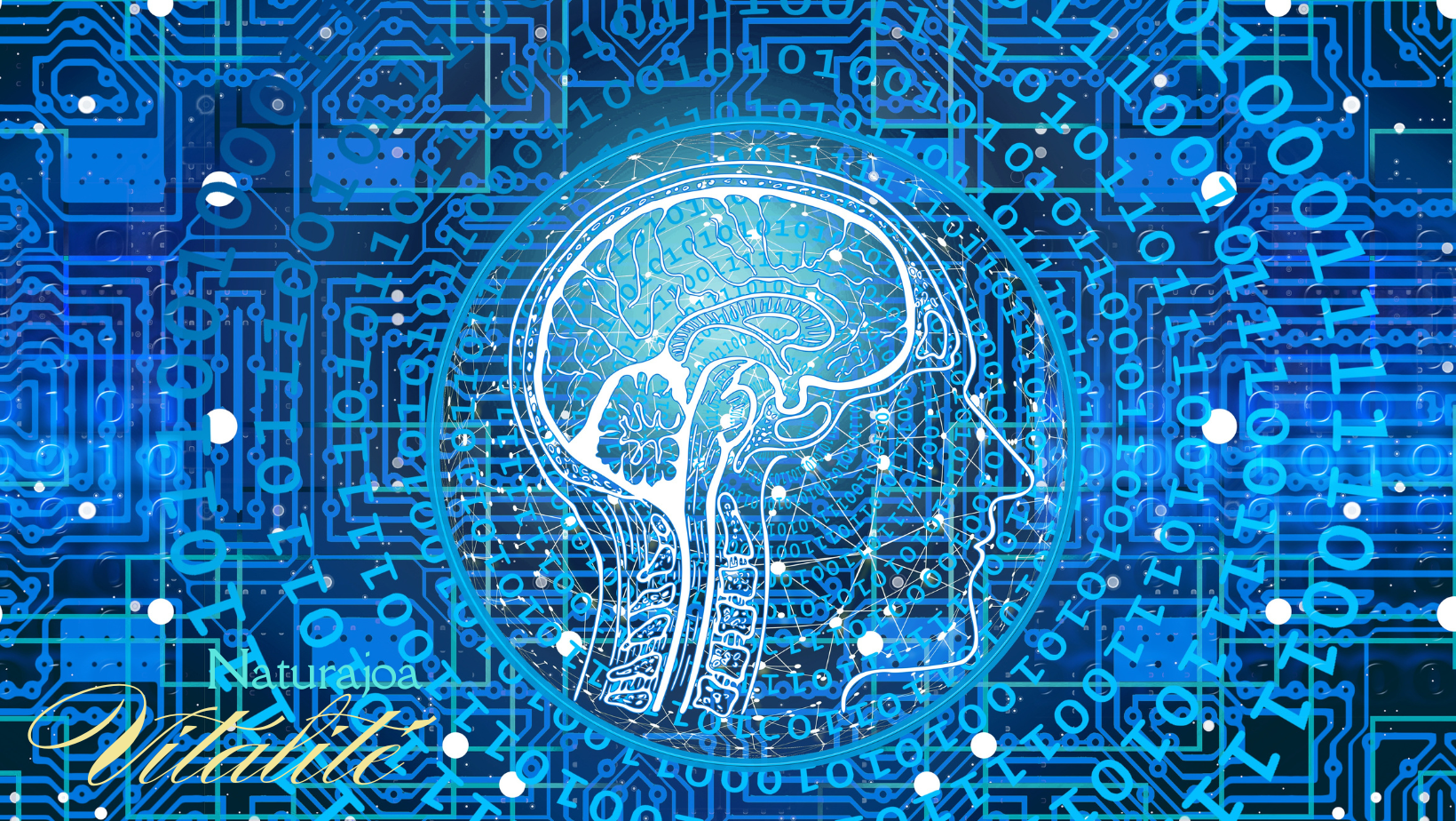 Quand on Oublie qu’On est en Bonne Santé naturajoa vitalité naturajoa.com