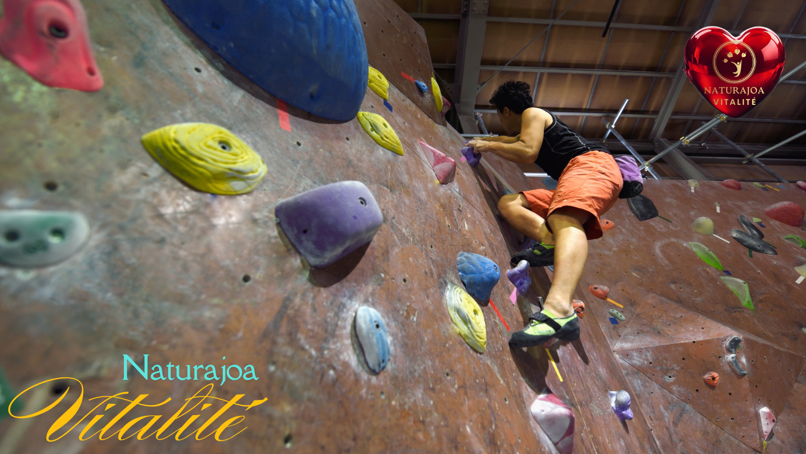 Être Végane à l’ère du Mercosur : Agir pour les Animaux et la Terre naturajoa.com jr.naturajoa.com Joanna Anna Romanowska