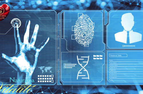 Identité Numérique naturajoa.com