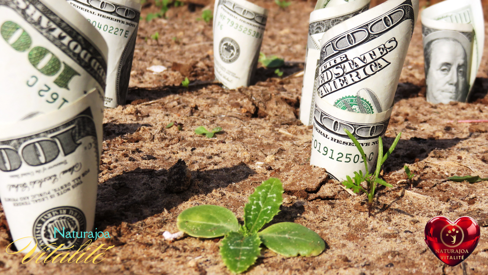 La Véritable Valeur de l’Argent en Temps de Crise naturajoa.com