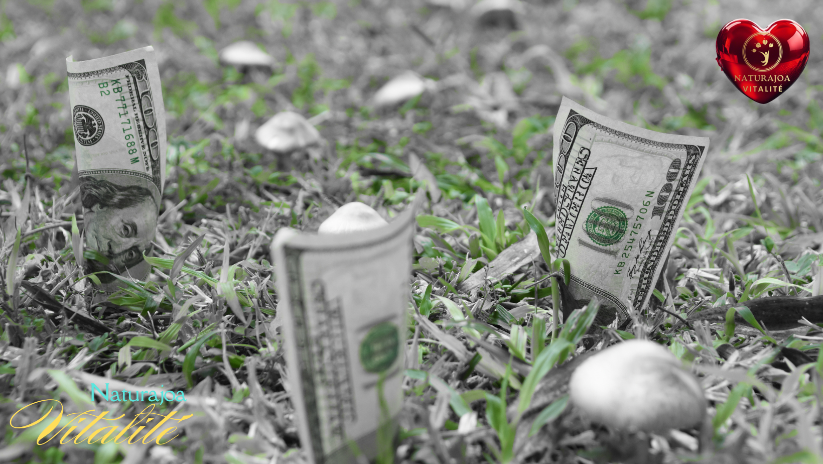 La Véritable Valeur de l’Argent en Temps de Crise naturajoa.com